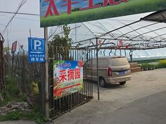 -太平生态农场采摘园