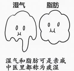 -香薇妮丝·定制减肥·身材管理