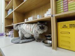 -佑安动物医院·全科·内窥镜中心(幸福巷店)