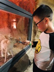 -酷嗒动物文化乐园(cutezoo西溪乐天城店)