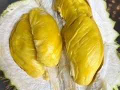 -KSL度假酒店