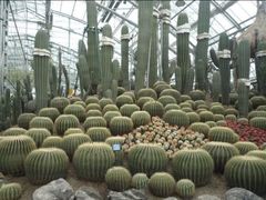 -南山植物园