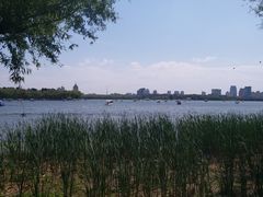 -长春市南湖公园