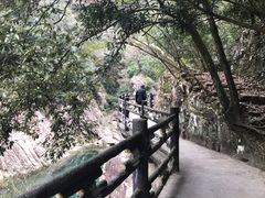 -楠溪江石桅岩