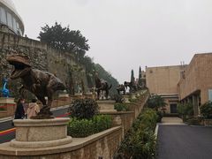 -自贡恐龙博物馆