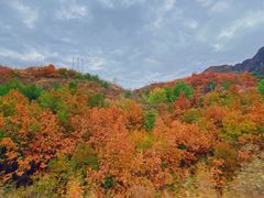 -百里山水画廊乌龙峡谷