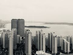 -柴犬小屋·柴餐厅·狗咖食堂(金鼎广场店)