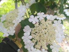 -南海子公园