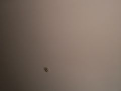 -广芳园·香港潮饮店(文化路店)