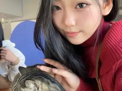 -辛玛王国游乐园