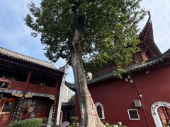 -武汉长春观