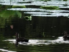 -北陵公园
