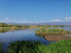 -西昌邛海湿地