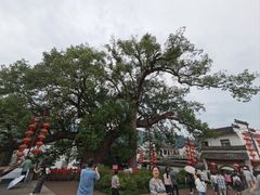 -新安江山水画廊风景区