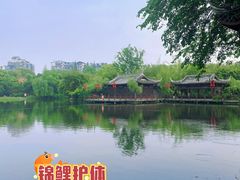 -棠湖公园