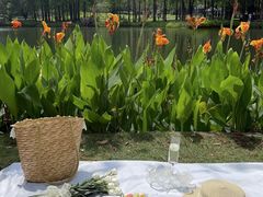 -36cake生日蛋糕·下午茶(南山店)