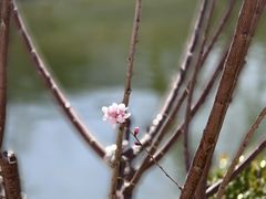 -南长河公园