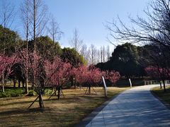 -同里国家湿地公园