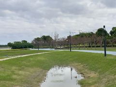 -春花秋色城市公园