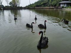 -静之湖度假区