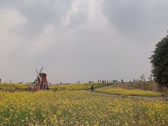 -空港花田景区