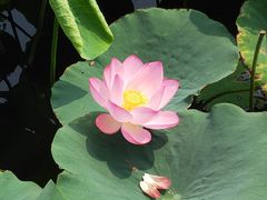 -天津东丽湖风景区