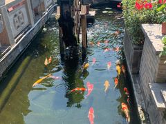 -顺德了能馆(虎门店)