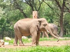 -北京野生动物园