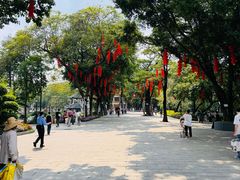-荔湾湖公园