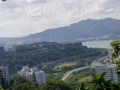 -大埔公路-马料水段香港中文大学(公交站)