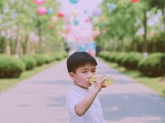 -菊园百果园