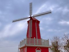 -羊亭河湿地公园