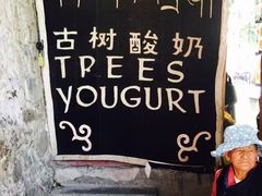 -古树酸奶(八廓南街店)
