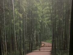 -足本纪·足道 SPA 简餐 小吃(文三西路店)