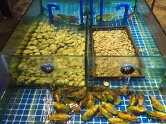 -吉源大排档·鱼生·海鲜(烧烤彩印厂店)