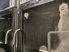 -爱侣宠医·鹦鹉专科·小型哺乳类·异宠专科(灵石路店)