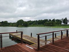 -贡湖湾湿地公园