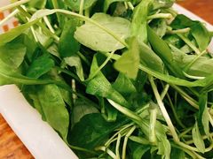 -正能量脆肉鲩火锅