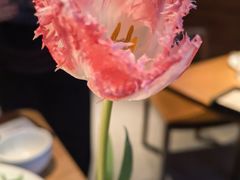 -一坐一忘云南菜(三里屯店)