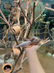 -Zoolung Zoolung动物主题公园(海信广场店)