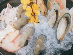 扇贝-丽江庭院之爱在路上(西单店)