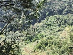 -溪口-滕头旅游景区