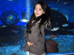 -海合安武汉极地海洋公园