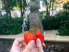 -苏州湾·王焰温泉