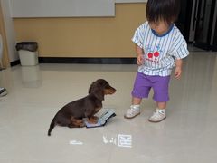 -圣宠动物医院·犬猫专科·影像中心·外科中心
