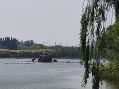 -大兴滨河森林公园