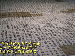 -六出私塾LiuChu•成人美术书法系统课程专业画室(熊婆婆的花园店)