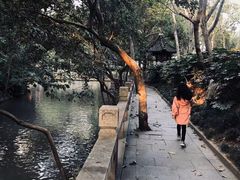-汇龙潭