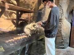 -哈尔滨波塞冬海底世界