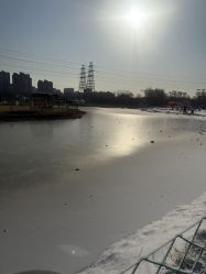 -268童话露营农场·烧烤·团建